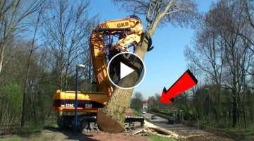 Modern Long Reach Tree Felling Vehicle ! Most Satisfying Cutting Down Old Tree Machines in the ci...
