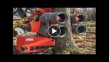 Dangerous Fastest Chainsaw Cutting Tree Machine Skills - Heavy Biggest Felling Tree Machine Worki...