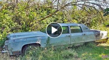 Rescued 77 Lincoln Continental Town Car - Rats and Mold Oh My