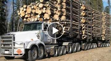 10 Extreme Dangerous Fastest Biggest Logging Wood Truck Skills, Extreme Wood Truck & Heavy Equipm...