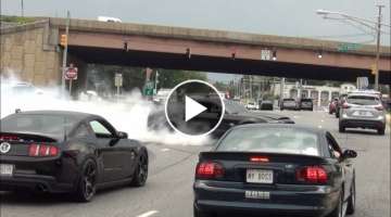 EPIC Burnout Shelby GT500 Super Snake // Diesel Truck Pulled Over // Sick Burnout Mustang Cobra !...